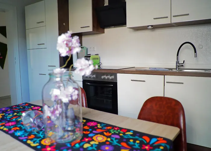 Ferienwohnung Little Dragon - Rheinblick